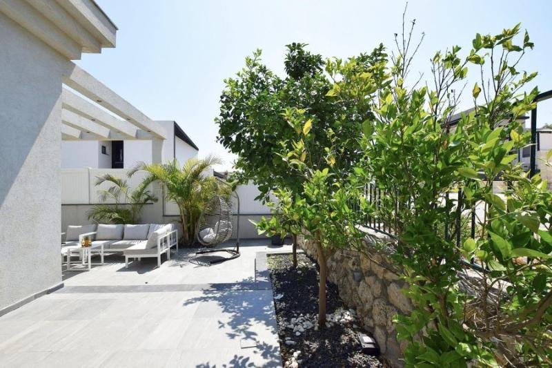 אחוזת ליבי38