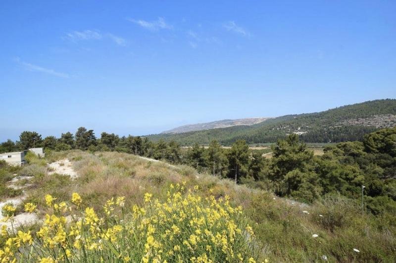 אחוזת ליבי8