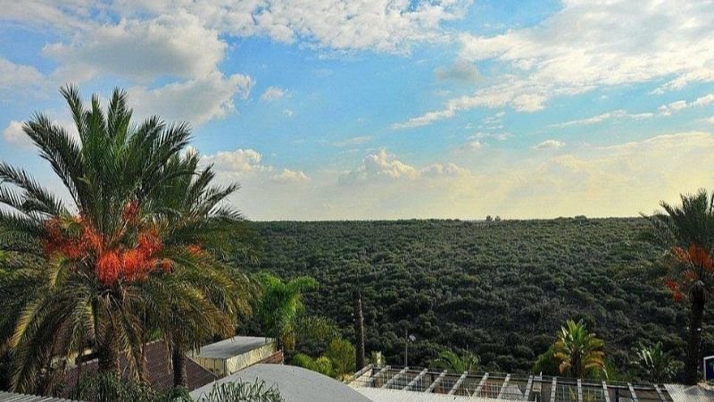 הוילה באחוזה14